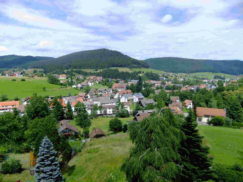 Oberdeisenhof Land- Und Wanderhotel Garni Baiersbronn Exterior photo